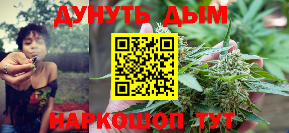 Бошки Шишки семена Славянск-на-Кубани